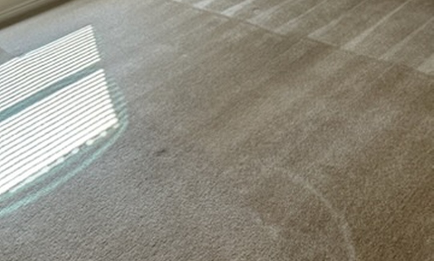 Image 3: Rug Cleaning & Steam Services + Odor Removal, Fiber Protection & Packs