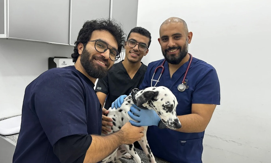 Image 4: Take Care of Your Pet: Vaccination or Preventive Care Package