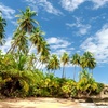 Image 4: ✈ 8-Day Tour of Costa Rica with Air from Great Value Vacations
