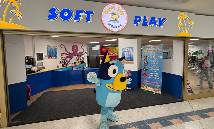 Image 3: Enjoy a Fun Day w/ Entry to Oasis Play for 2 Adults & Up to 3 Children