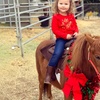 Image 3: Up to 34% Off Private Horseback Riding Lessons - Cherry Stables