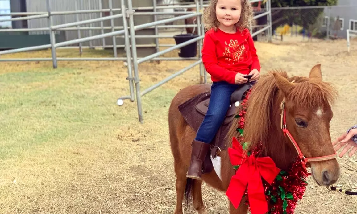 Up to 45% Off Private Horseback Riding Lessons - Cherry Stables