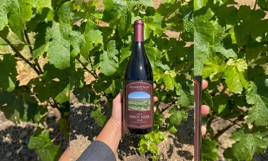 Image 3: Vineyard Tours with Wine and Tea Tastings in Scenic Setting