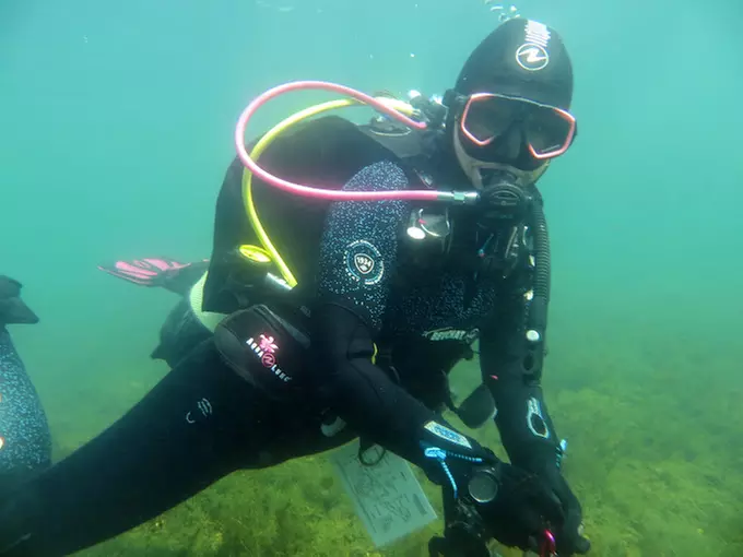 Schnuppertauchen für 1 / 2 Personen – Dein Einstieg in den Tauch-Sport