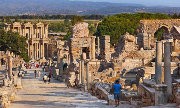 What to expect media