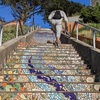 Image 9: SF's WildSide, Redwood & Hike or Golden Gate Park's Hidden Gems Tour
