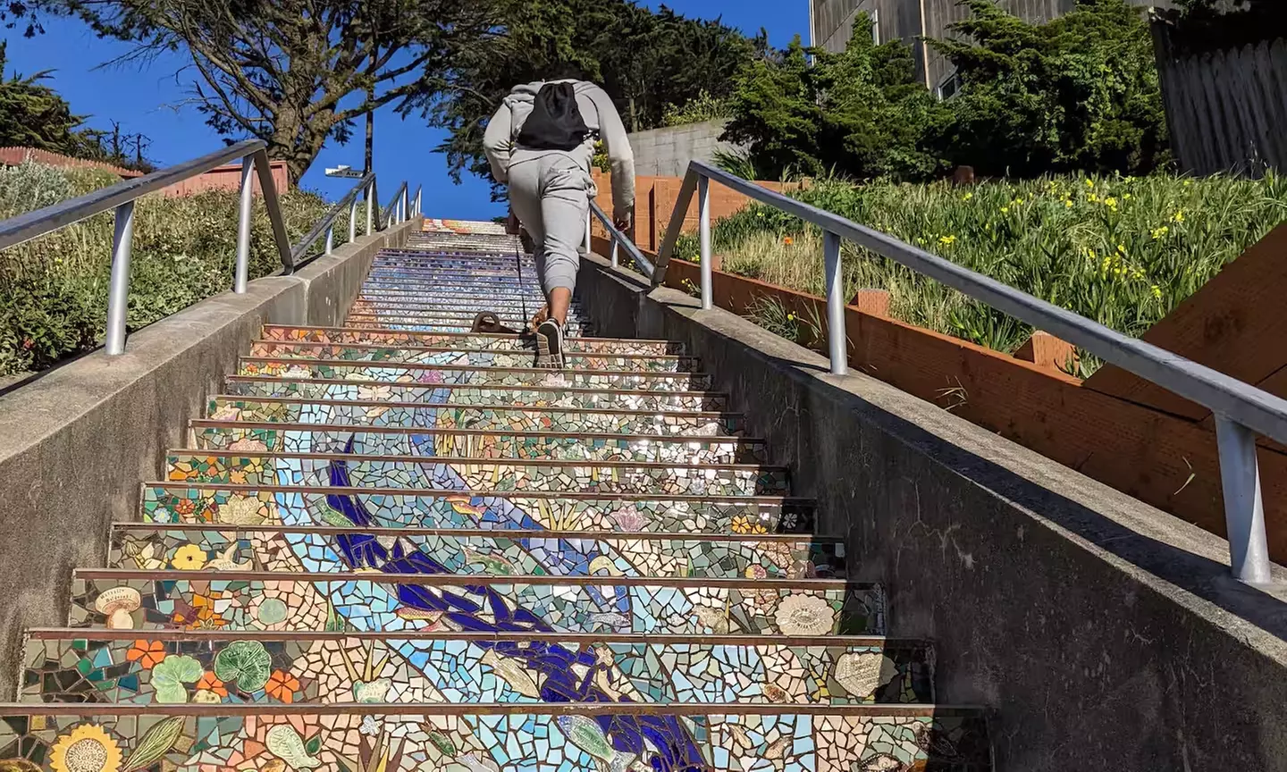 SF's WildSide, Redwood & Hike or Golden Gate Park's Hidden Gems Tour