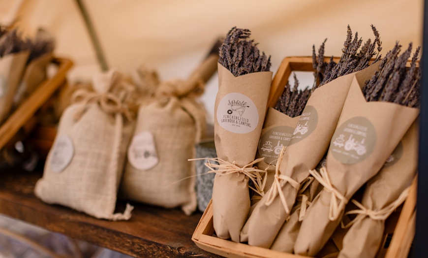 Image 5: Discover Beautiful Lavender Fields & Afternoon Tea at Finchingfield Camping with Up to 33% Off!