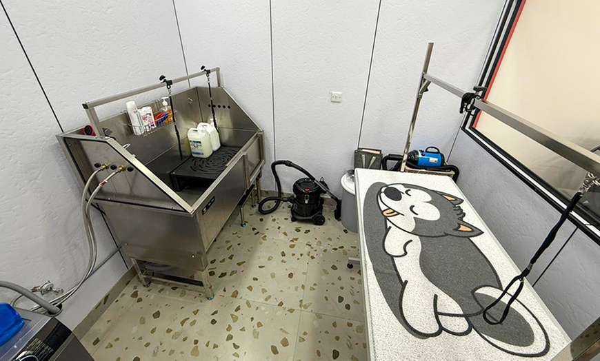 Image 1: Basic Grooming or Full Grooming  Dog/Cat