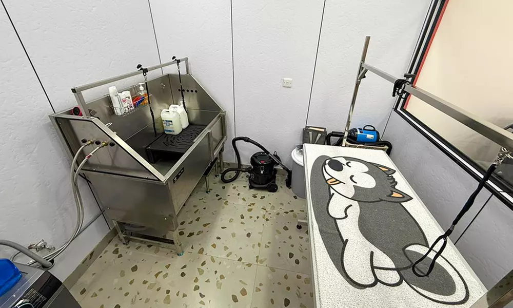 Basic Grooming or Full Grooming  Dog/Cat