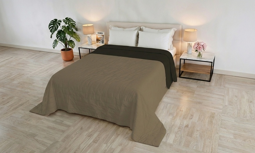 Image 9: Trapuntino Golia double face effetto Water Washed