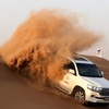 Image 2: Explore Dubai Morning City Tour & Evening Desert Safari with Dinner
