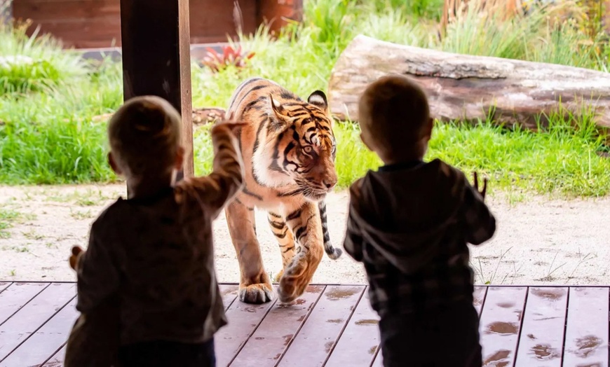 Image 9: Explore Sydney Harbour & Taronga Zoo + Return Ticket - Child or Adult 