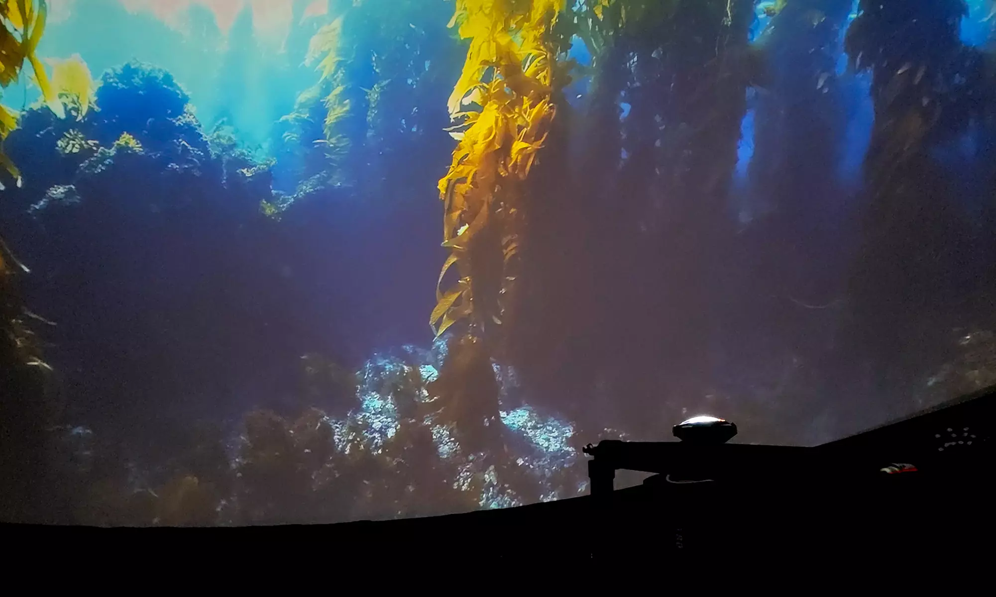 Experience Ocean Wonders in 360° Movie with Up To Eight Tickets