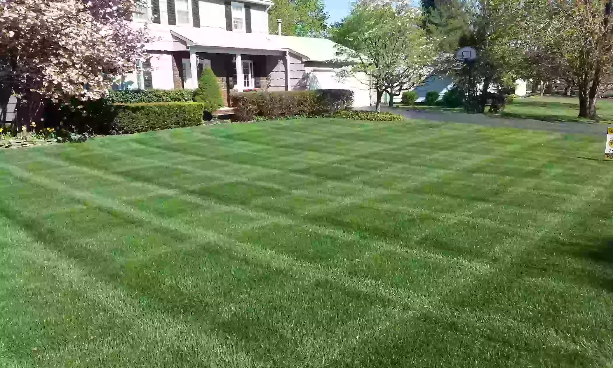 Lawn care project example
