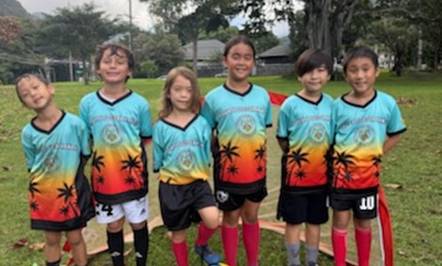 Image 3: European-Style Soccer Training & Advanced Clinics