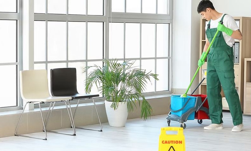 Image 1: Up to 55% Off on House / Room Cleaning at Sunflower cleaning nv