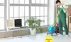 Up to 55% Off on House / Room Cleaning at Sunflower cleaning nv