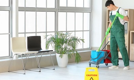 2 Hours of House Cleaning with One Cleaner - Sunflower cleaning nv
