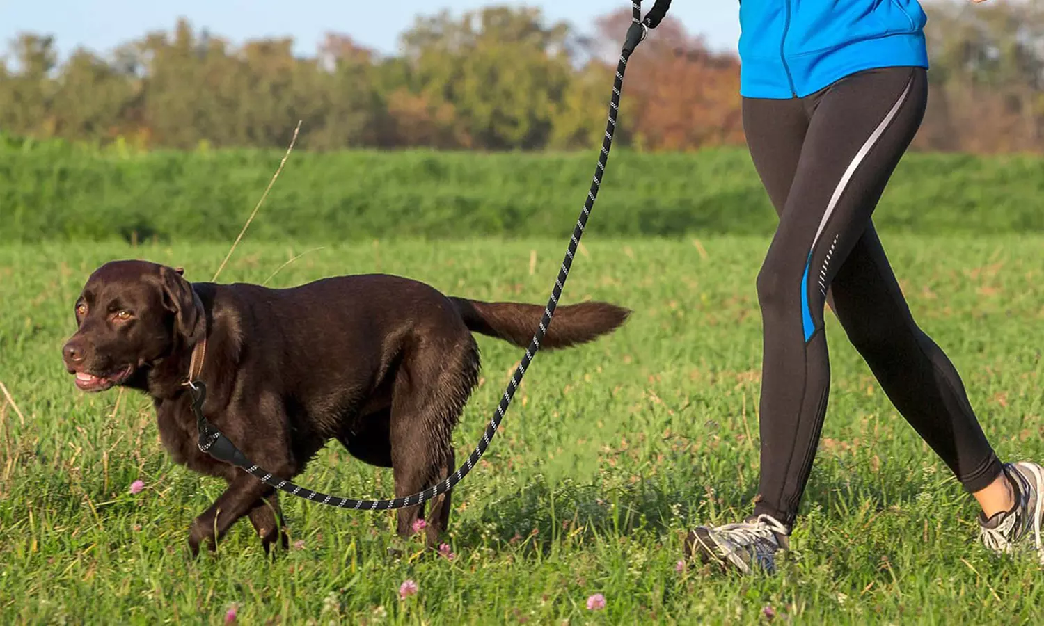 Heavy Duty Dog Leash Reflective Dog Leashes for Medium Large Dogs