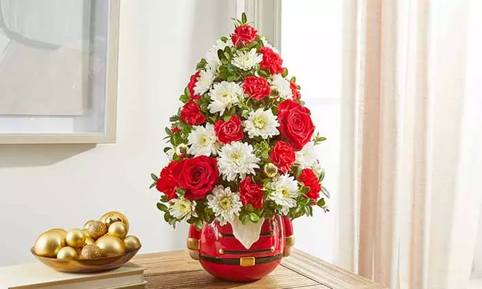 ProFlowers Radiantly Fresh Christmas Flowers and Gifts with Same Day Delivery Up to 64% Off