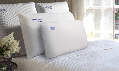 2 Oreillers mémoire de forme anti-acariens déhoussable, marque Sampur