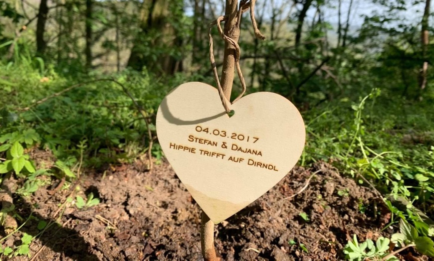 Image 3: Baum mit Widmung pflanzen opt. am Jahres- bzw. Wunschtag