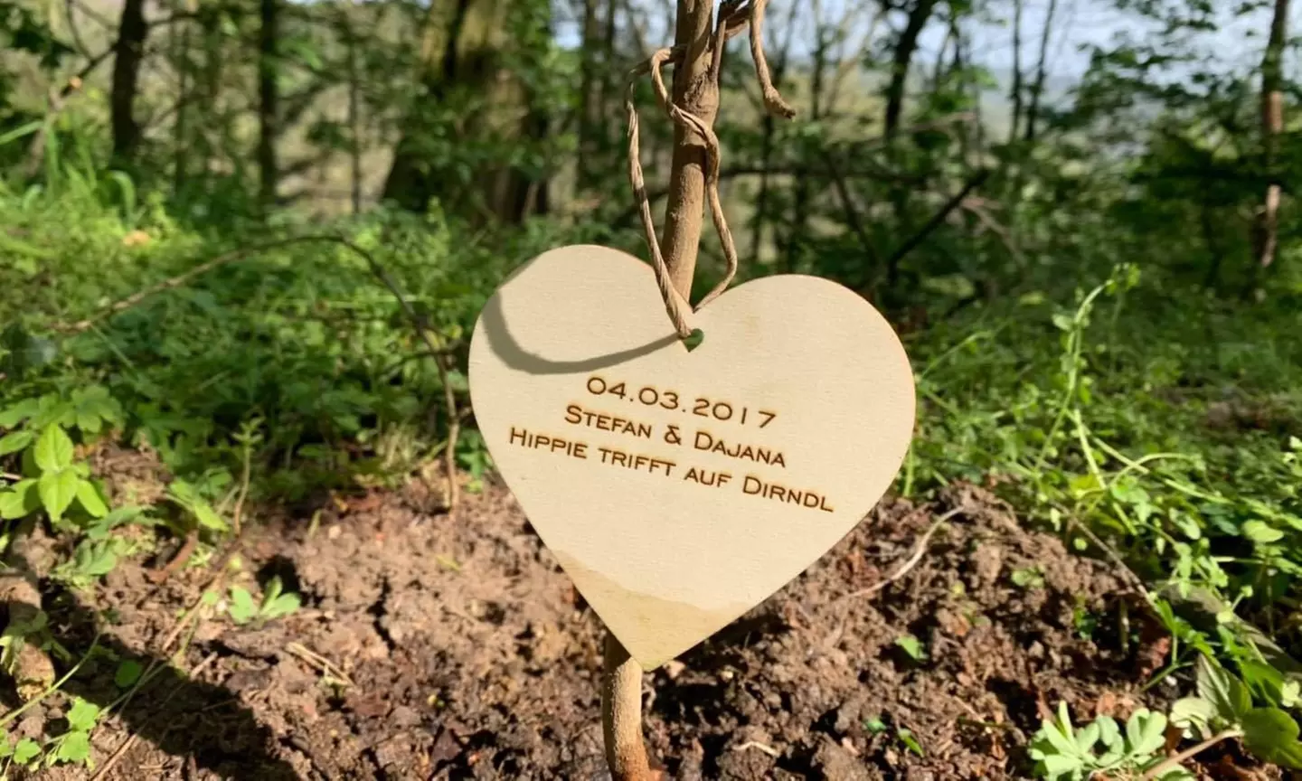 Baum mit Widmung pflanzen opt. am Jahres- bzw. Wunschtag