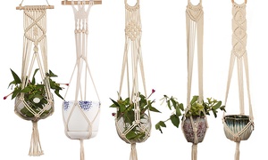 Macrame Pot Plant Hanger 