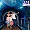 Image 1: General Admission to Sea Life Melbourne Aquarium