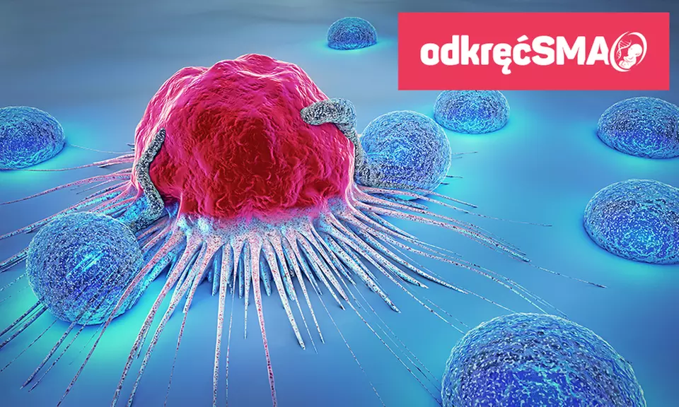 Badania laboratoryjne: markery nowotworowe dla kobiet i mężczyzn od 89,99 zł w OdkrecSMA – wiele lokalizacji - Image 4