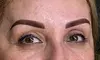 Luxx Brow Bar Sarasota: Choose from 3D Microblading, Powder Brows, Lip Blush & Brow Correction (Up to 30% Off)