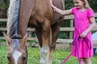 Equestrian Centre: Join 30 or 60-Min Horseback Riding Lessons (Up to 31%Off) - Second Medium