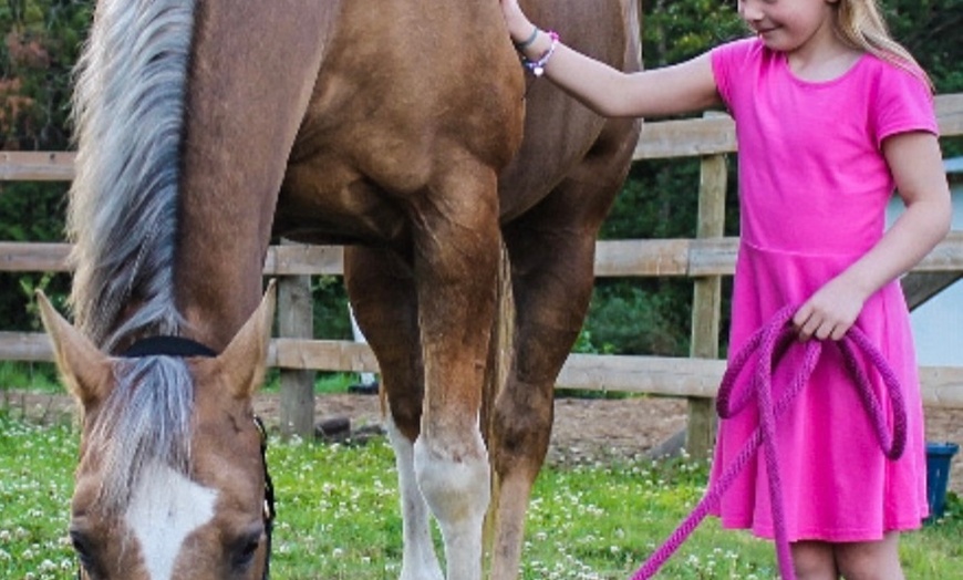 Image 5: 30 or 60-Min Horseback Riding Lessons: One or Parent/Tot – Select Days