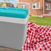 Image 25: Insulated Cooler Ice Box and Optional Ice Blocks 15L, 24L, 35L
