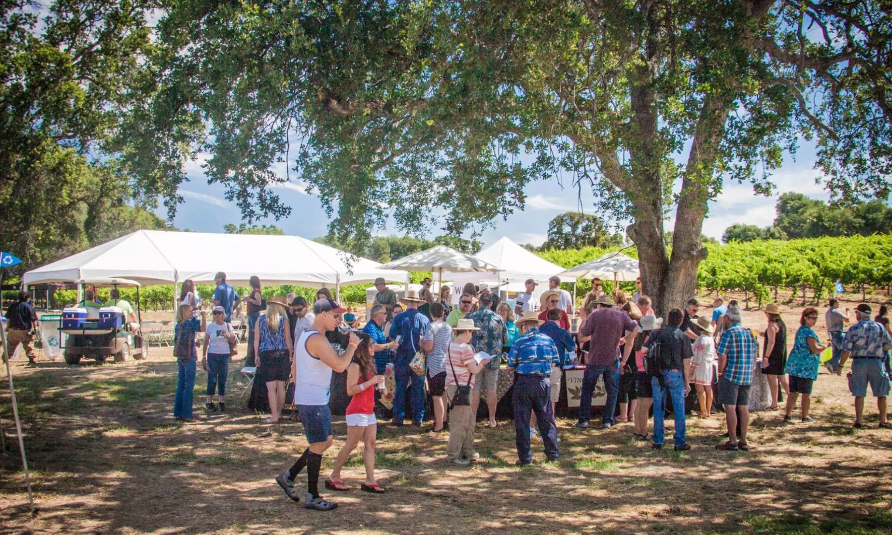 VIP Experience to Barbera Festival for One, Two, or Four People on August 3, 2024 (Up to 23% Off) - Second Medium