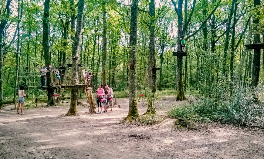 Image 4: Aventure en plein air : orientation, accrobranche ou paintball