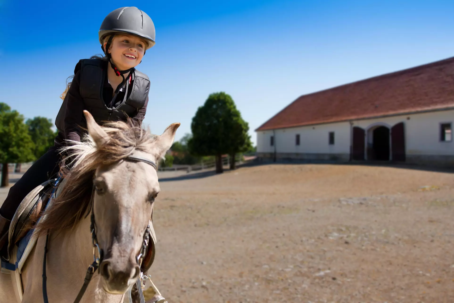 $33 for $65 Worth of Services — VanderZicht stables - Primary Image