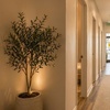Image 4: 30, 60, or 90-Min Couples Full Body Massage