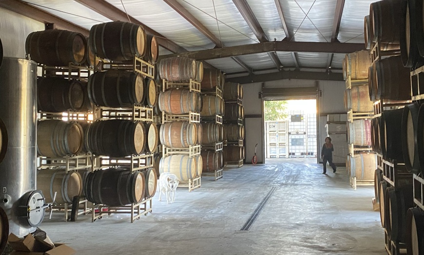 Image 6: Experience Wine Tasting for 1, 2, or 4 People w/ Charcuterie Board