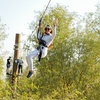 Image 10: Iconic Ziplines, Treetop Circuits & Outdoor Fun for All Ages