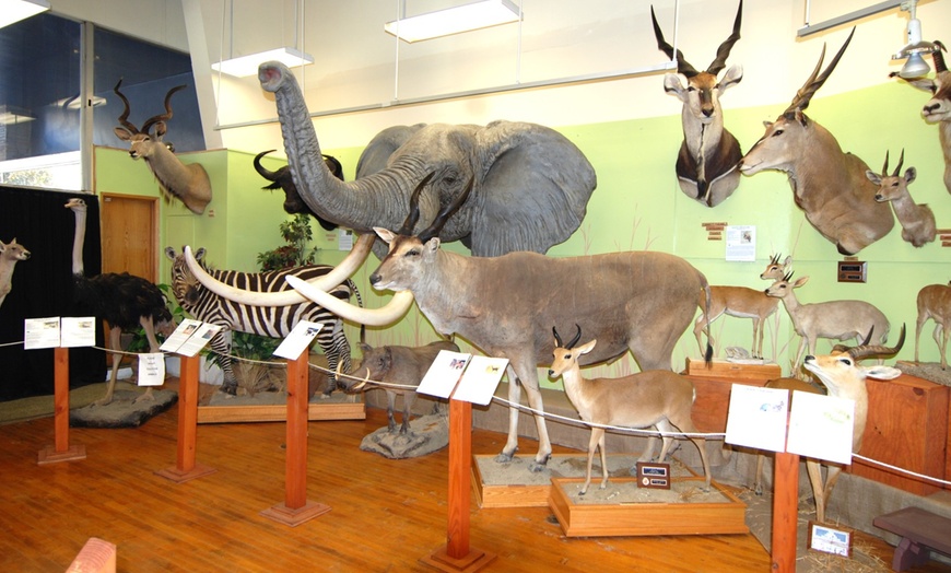 Image 3: GetOut California Central Valley with Admission to 26+ Attractions