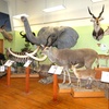 Image 3: GetOut California Central Valley with Admission to 26+ Attractions
