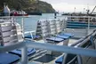 3-3.5 Hr Guaranteed Whale Watch Tour – the Pacific Northwest Adventures (Up to 17% Off) - Second Medium