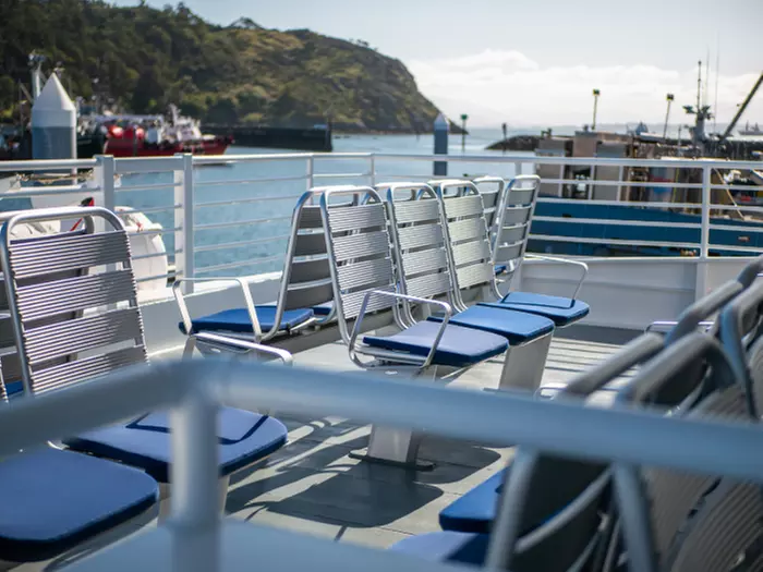 3-3.5 Hour Guaranteed Whale Watch Tour with Island Adventures