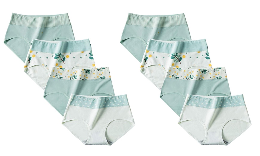 Image 6: 4er- oder 8er-Pack hochtaillierte Damen-Höschen