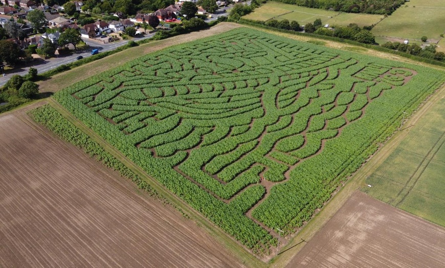 Image 4: Adventure Awaits: Maze Entry for One, Two, Three, or Family of Four