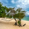 Image 9: ✈ Indonesia: 11-Day Bali & Gili Trawangan with Flights & Transfers
