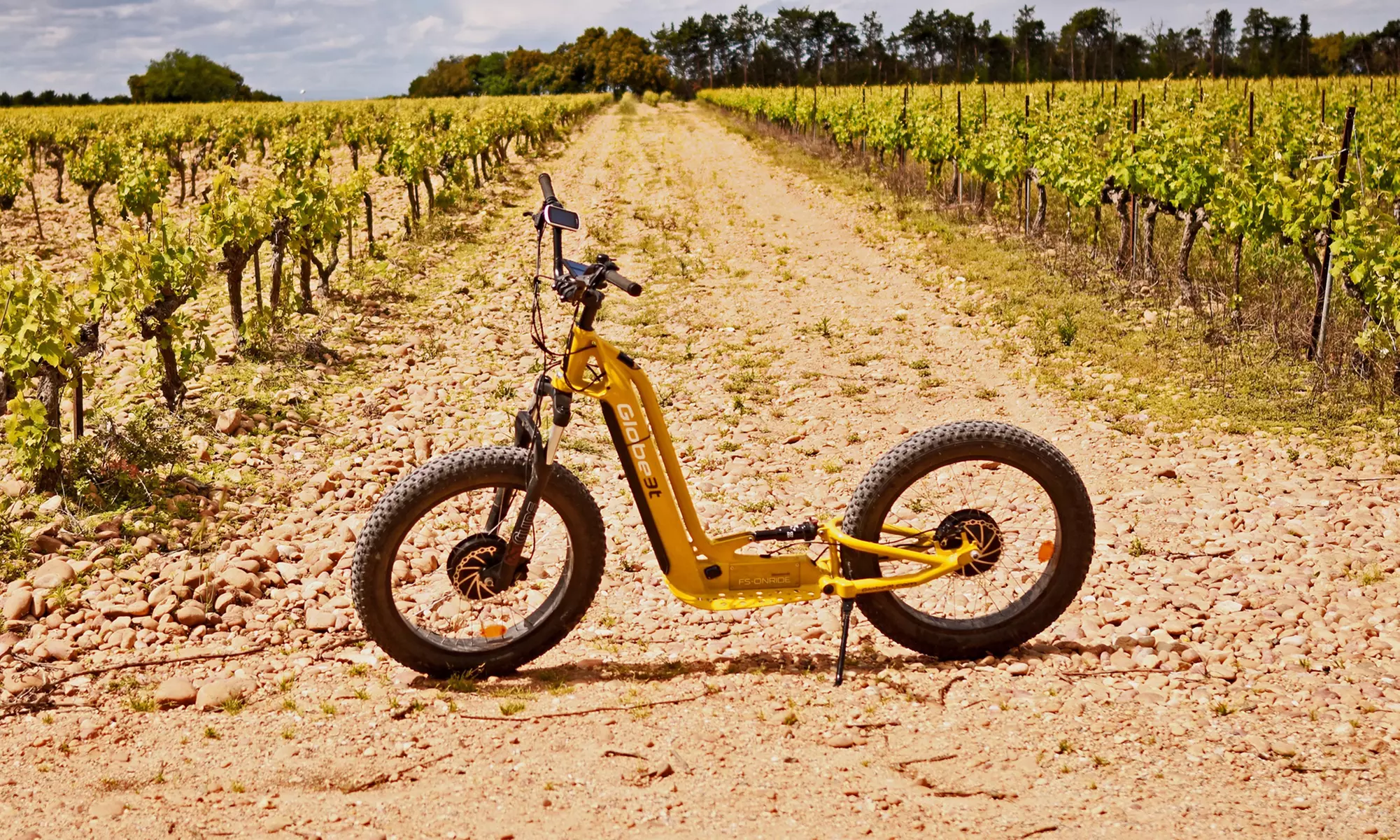 Jusqu'à 41% de remise sur Vélo / Deux roues / Bicyclette - Location chez TROTT EMOTION