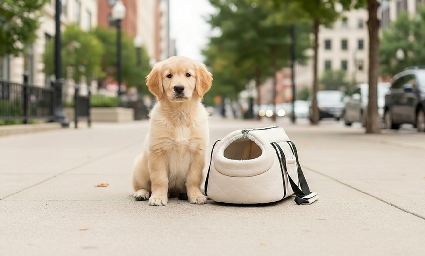 Image 2: Borsa a tracolla trasportino per cani